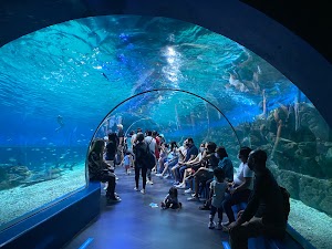 Manila Ocean Park