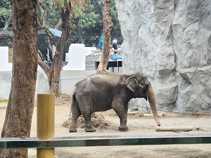 Manila Zoo