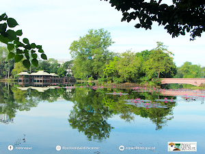 Ninoy Aquino Parks and Wildlife Center