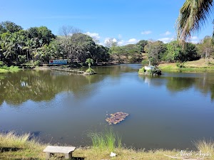 Jamboree Lake